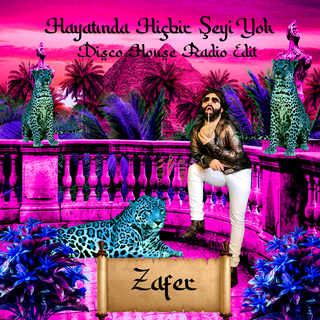 Hayatında Hiçbir Şeyi Yok (Disco House Radio Edit)