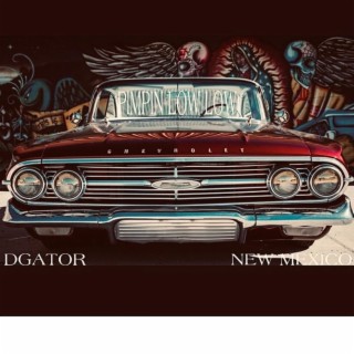 DGATOR