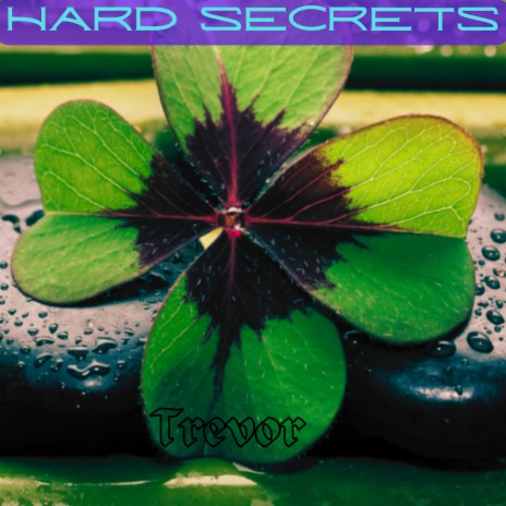 Hard Secrets | Boomplay Music