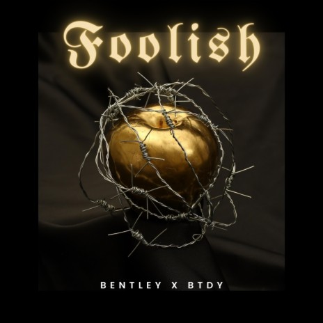 Foolish ft. BTDY | Boomplay Music