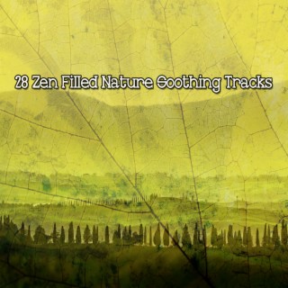 28 Zen Filled Nature Soothing Tracks