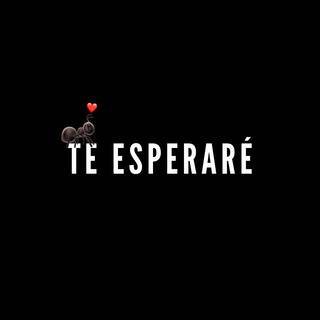 TE ESPERARÉ