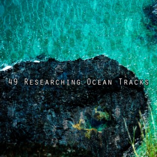 49 Researching Ocean Tracks