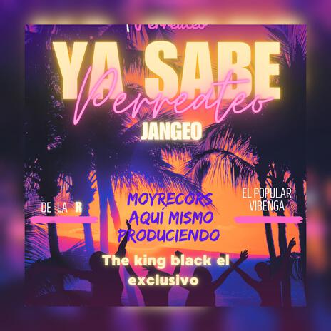 YA SABE PERRATEO JANGEO | Boomplay Music