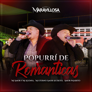 Popurrí De Romanticas: Mi Amor y Mi Agonía / Mi Eterno Amor Secreto / Amor Pajarito (En Vivo)