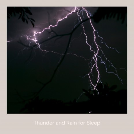 Rain Sleep ft. Thunderstorms, Gentle Thunderstorms for Sleep, Thunderstorm for Sleep, Rain Shower & Rainforest | Boomplay Music