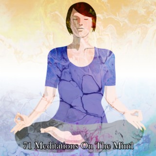 71 Meditations On The Mind