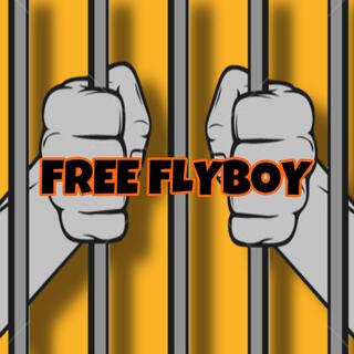 Free Flyboy