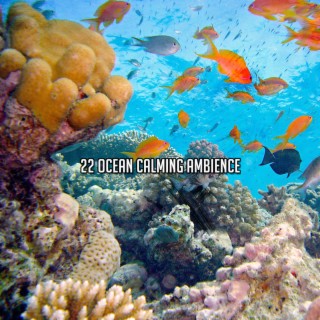 22 Ocean Calming Ambience