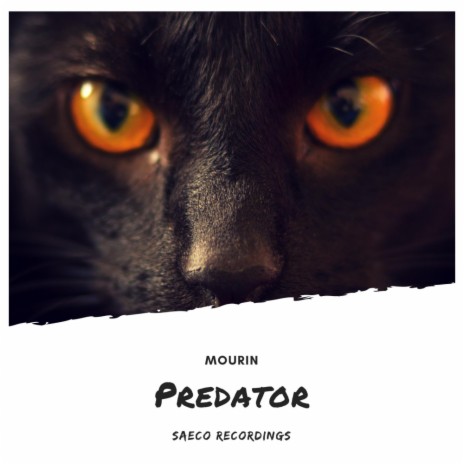 Predator (Original Mix) | Boomplay Music