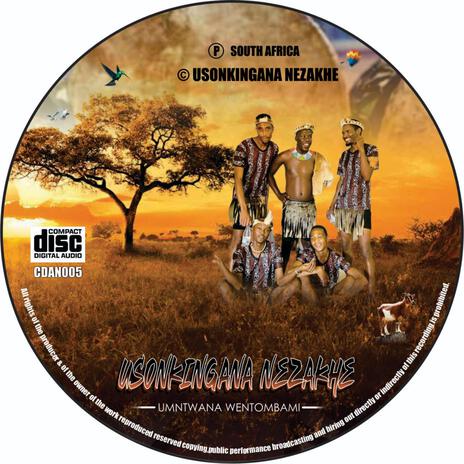 Sonkingana Nezakhe (Umntwana wentombami) | Boomplay Music