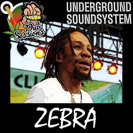 Selassie Send Mi Fi War (Answer Riddim) (Dubplate) ft. Zebra | Boomplay Music