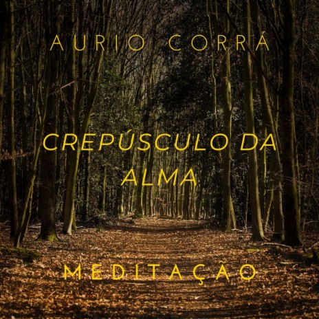 Crepúsculo da Alma (Meditação) | Boomplay Music