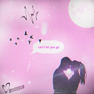 CAN'T LET YOU GO