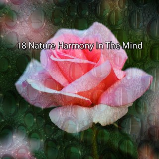 18 Nature Harmony In The Mind