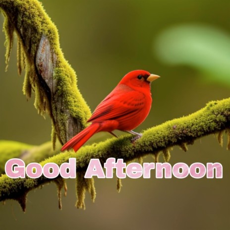 Good Afternoon | Boomplay Music