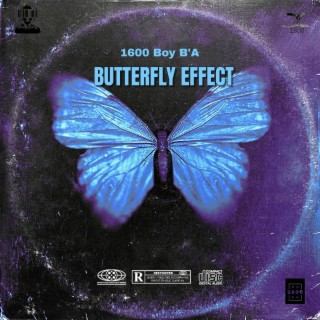 Butterfly Effect