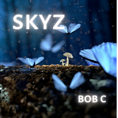 Skyz | Boomplay Music