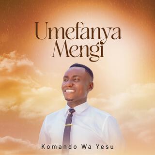 Umefanya Mengi