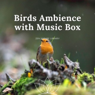 Birds Ambience with Music Box