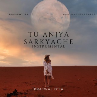 Tu Anjya Sarkyache (Instrumental Version)