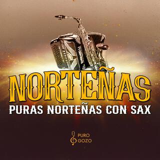 Norteñas con Sax Vol.2