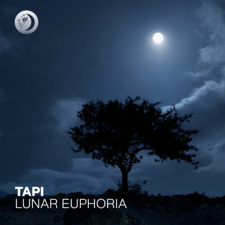 Lunar Euphoria | Boomplay Music