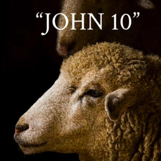 John 10