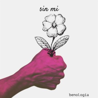 SIN MI