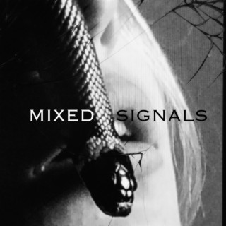 Mixed Signals lyrics | Boomplay Music