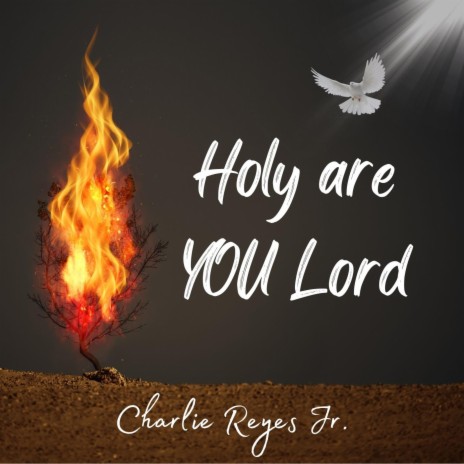 Holy are You Lord | Boomplay Music