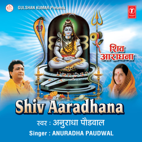 Man Mera Mandir Shiv Meri Puja | Boomplay Music