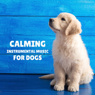 Calming Instrumental Music for Dogs