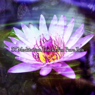 57 Meditation Tracks For Pure Zen
