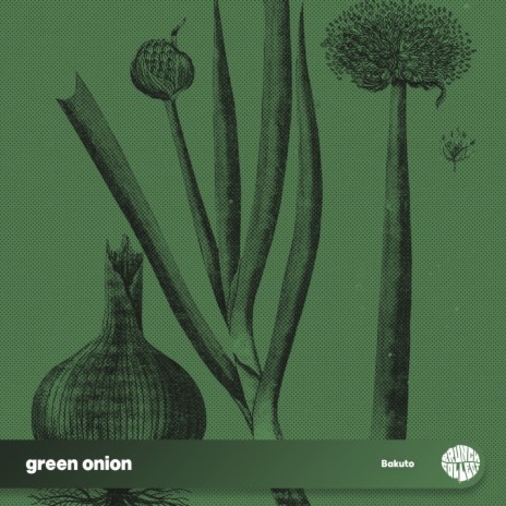green onion | Boomplay Music