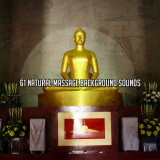 61 Natural Massage Background Sounds