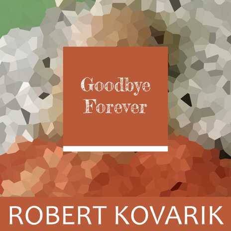 Goodbye Forever ft. Ilya Nepauer | Boomplay Music