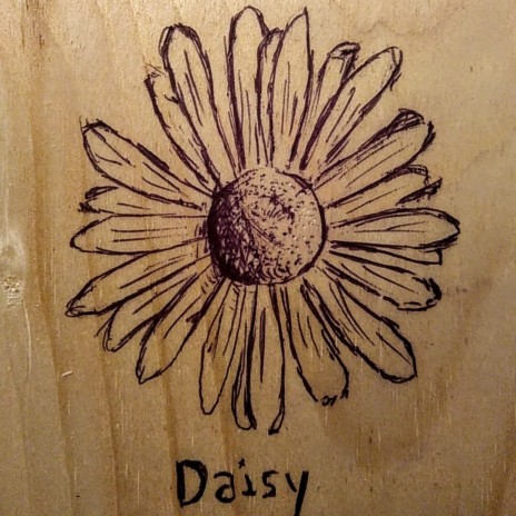 Daisy