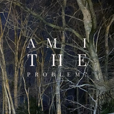 am i the problem? | Boomplay Music