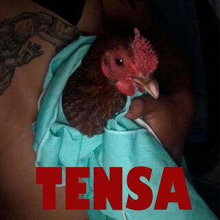 Tensa