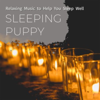 Relaxing Music to Help You Sleep Well