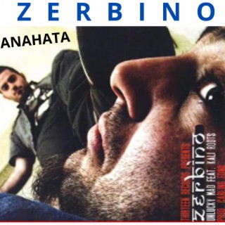 Zerbino