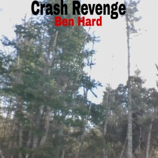 Crash Revenge