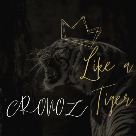 Like a Tiger | Boomplay Music