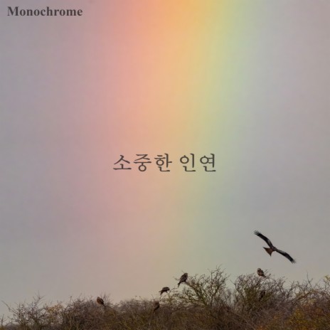 소중한 인연 | Boomplay Music