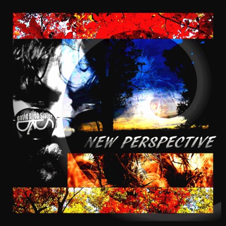 New Perspective (Acoustic) | Boomplay Music