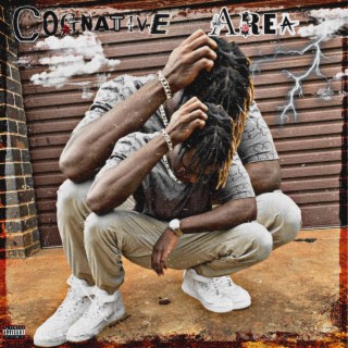 Cognitive Area lyrics | Boomplay Music