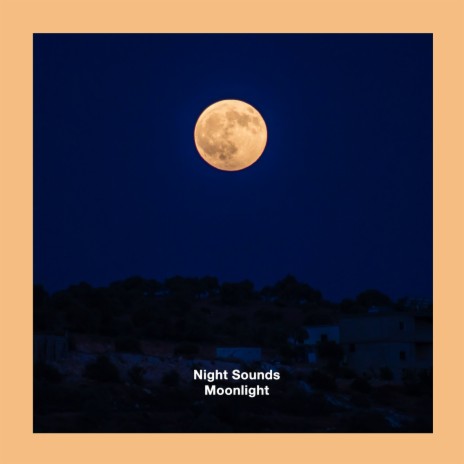 Moonlight | Boomplay Music