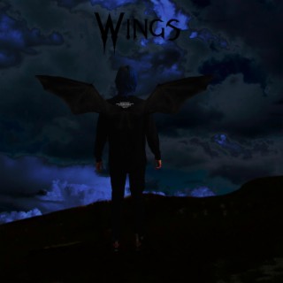 Wings lyrics | Boomplay Music