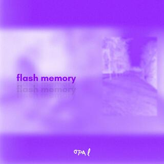 flash memory